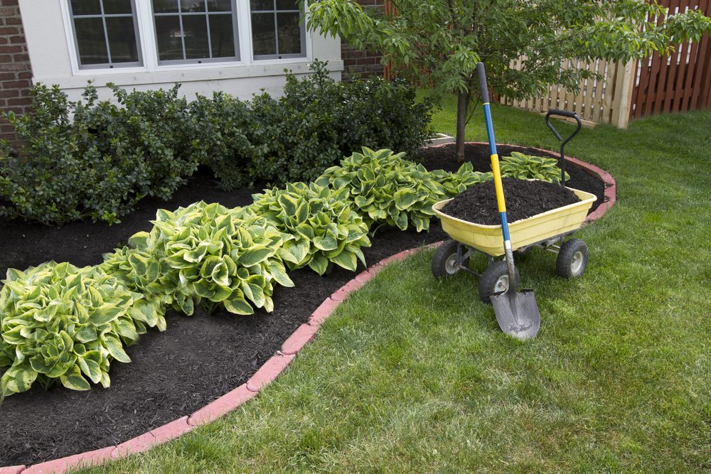 Preparar o jardim para o inverno