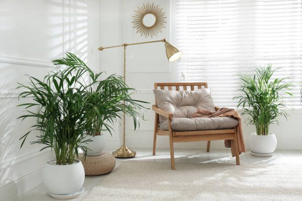Design biofílico em casa