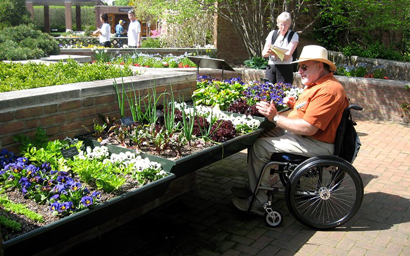 como criar um jardim sensorial