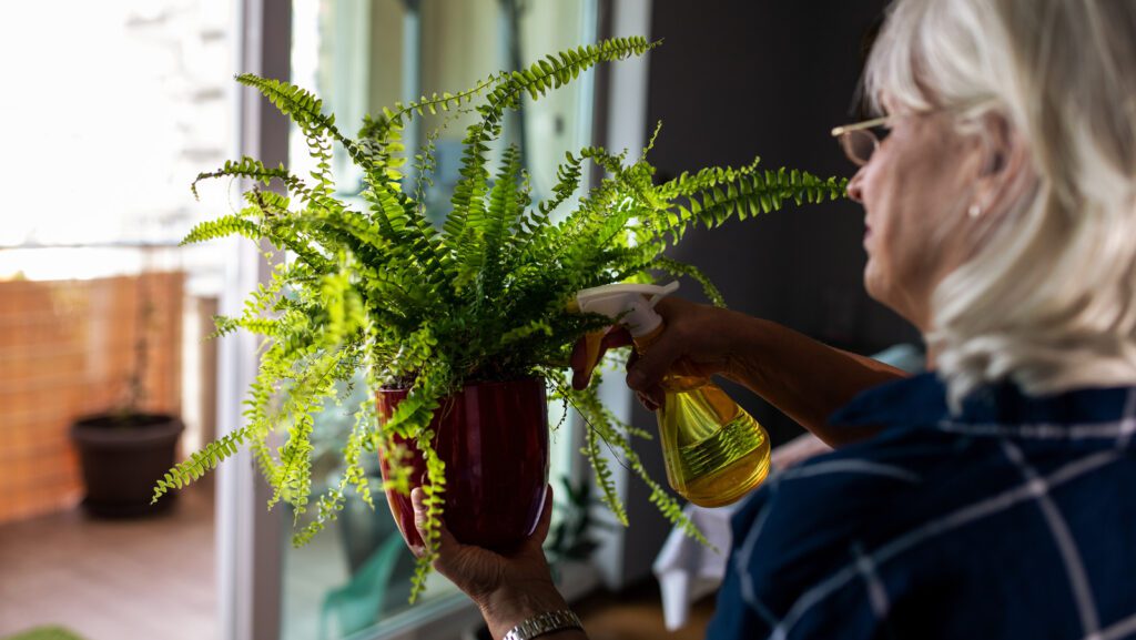 Jardins Inteligentes com IA: Como Proteger suas Plantas