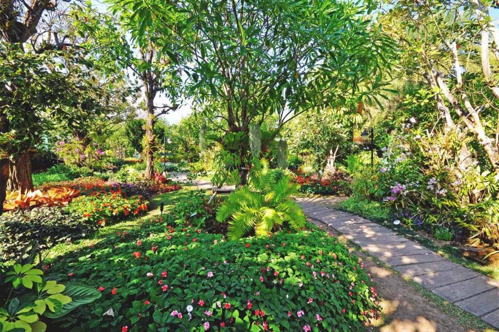 jardinagem regenerativa