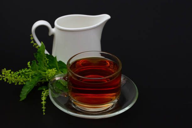 ervas medicinais cultivo e uso seguro
