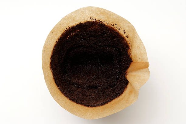 como transformar restos de cozinha em adubo natural