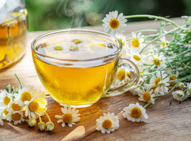 ervas medicinais cultivo e uso seguro