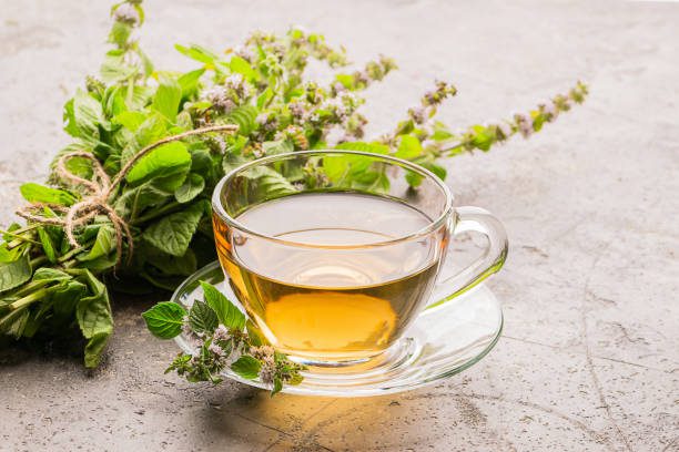 ervas medicinais cultivo e uso seguro