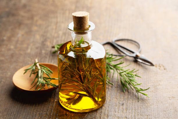 ervas medicinais cultivo e uso seguro