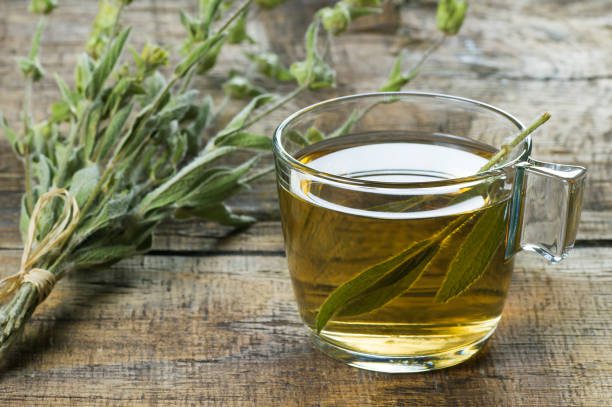 ervas medicinais cultivo e uso seguro