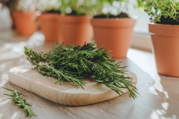 espaço gourmet no jardim