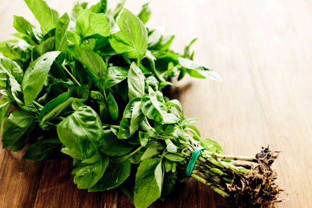 varanda gourmet com plantas aromáticas