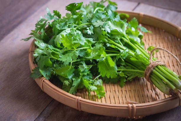 varanda gourmet com plantas aromáticas